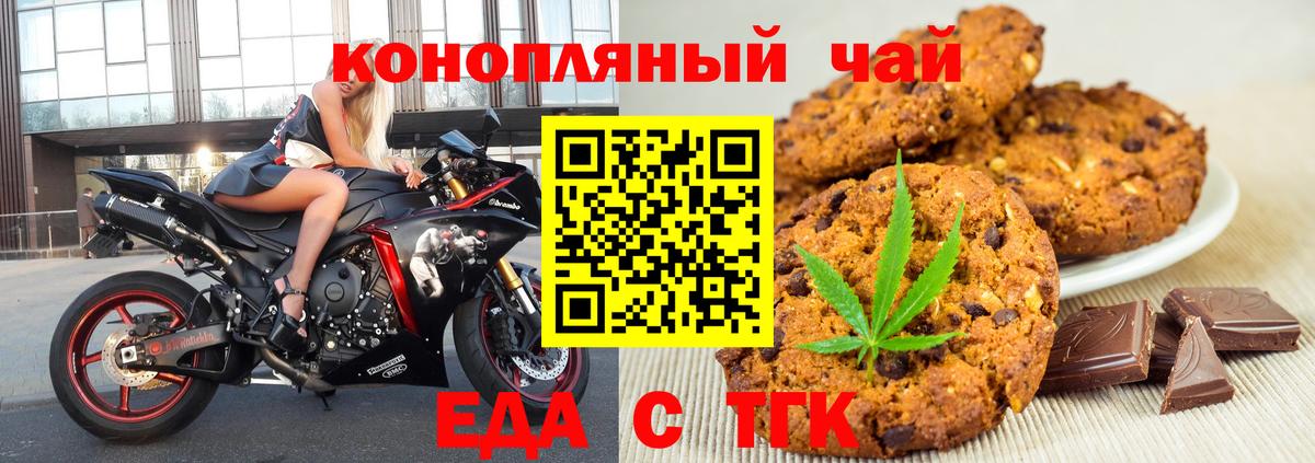 МЕФ Котлас