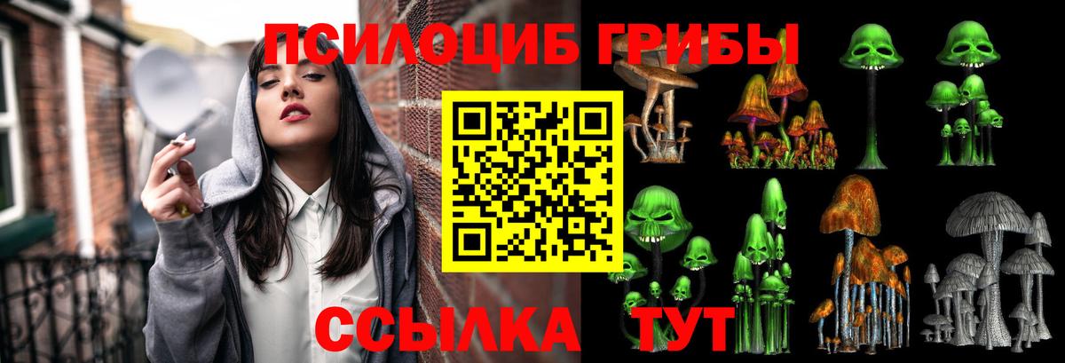 Галлюциногенные грибы MAGIC MUSHROOMS  Вход с VPN  Котлас 